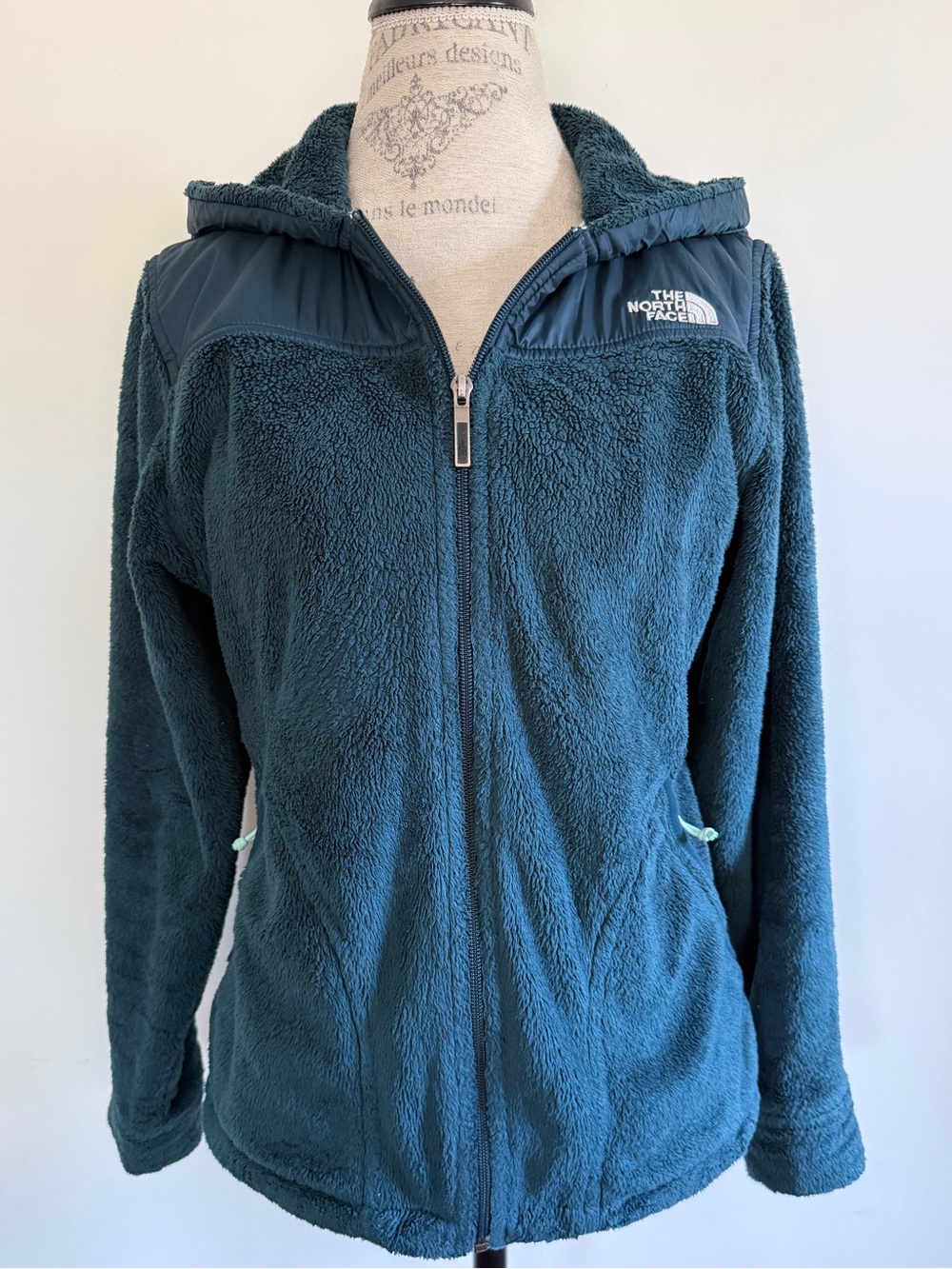 The North Face Womenβs Teal Hooded Teddy Fleece Jacket